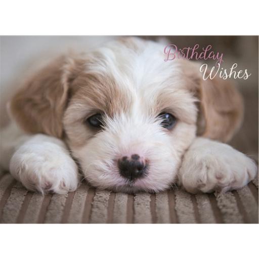 Animal Birthday Card - Cute Pup