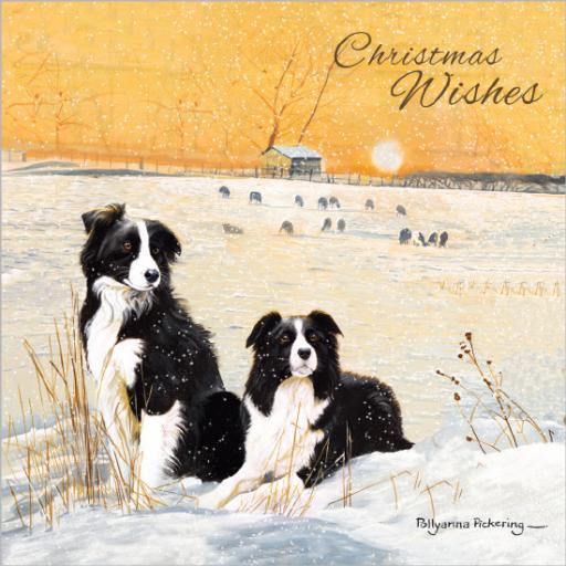 Charity Christmas Card Pack - Winter Collies