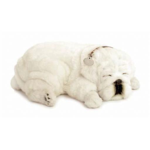 Precious Petzzz - White Bulldog