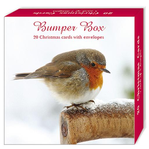 Assorted Christmas Cards - Merry Robins