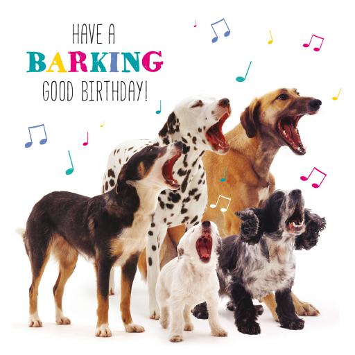 Pet Pawtrait Card - Dog Song (Birthday Card)