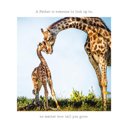 Fathers Day Card - How Tall You Grow