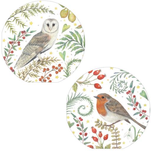 Luxury Christmas Card Pack - Winter Birds