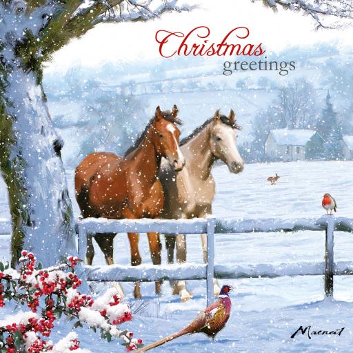 Charity Christmas Card Pack - Christmas Horses