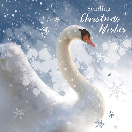 RSPB Small Square Xmas Cards (10) - Sparkle Swan