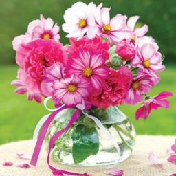 CDE76871_SqNcPck_Posies_Cosmos-&-Peonies_gc_y.jpg