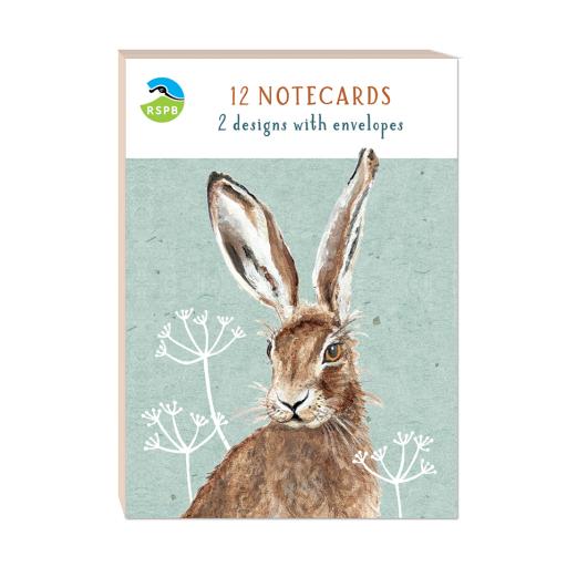 RSPB - In The Wild Stationery - Square Notecard Pack (12 Card Pack) - Hares