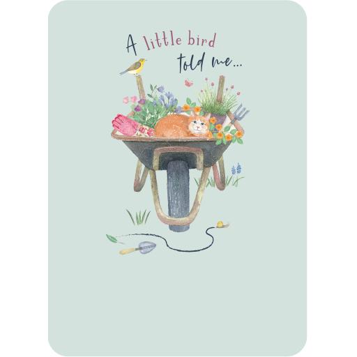 Beautiful Moments Card Collection - Wheelbarrow & Cat