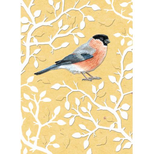 RSPB - In The Wild Card - Bullfinch