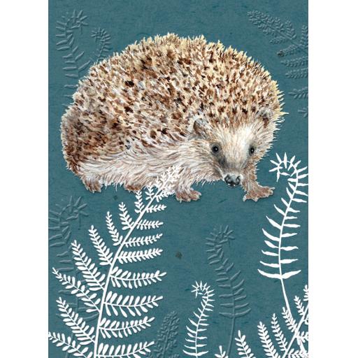 RSPB - In The Wild Card - Hedgehog