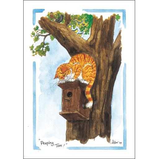 Alisons Animals Card - Peeping Tom