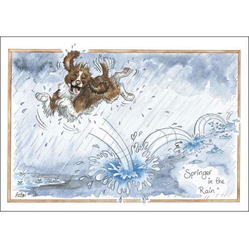 Alisons Animals Card - Springer in the rain