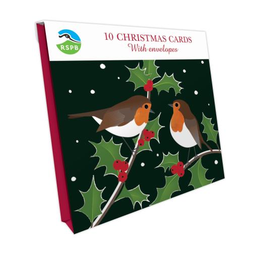 Robins & Holly - RSPB Small Square Christmas 10 Card Pack