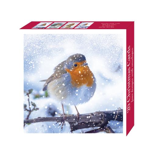 Assorted Christmas Cards - Robins in Snowfall