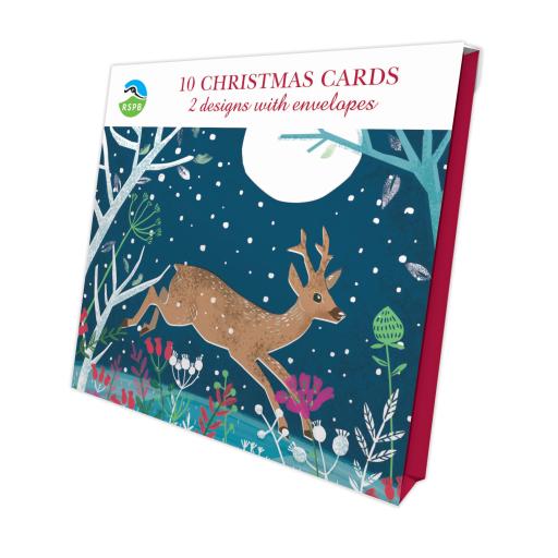 Moonlit Visitors - RSPB Luxury Christmas 10 Card Pack